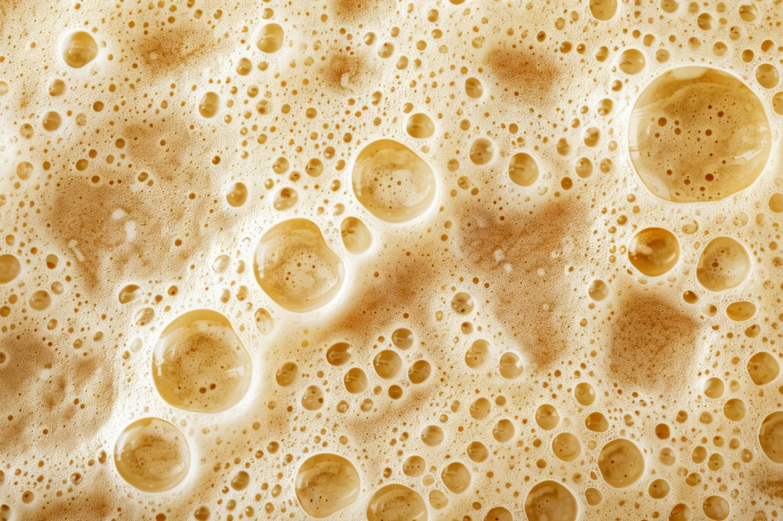 What Is Fermentation and Why It Matters for Your Protein Snacks
