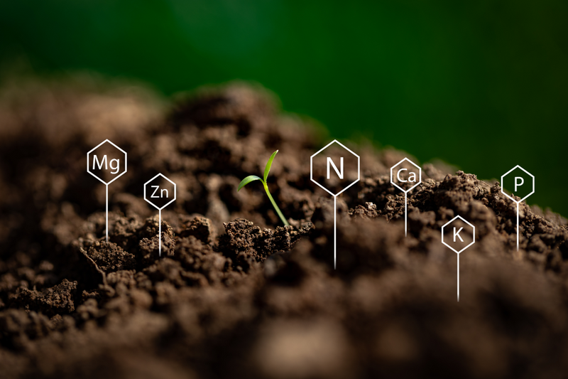 Glyphosate in Your Food: What It Is, Why It Matters, and How to Avoid It